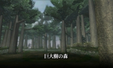 ꡼ No.013Υͥ / ֿʷε2̤κɸסɥȡ꡼֥를μĢԡסֲʤԡפ䡤ɥ⡼ɤοǤ餫