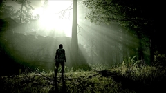 画像ギャラリー No.004のサムネイル画像 / PS4「ワンダと巨像」に実装される“フォトモード”が公開。PS4 Proでは4K解像度または60fpsでのプレイに対応とスペシャルサイトに掲載