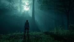 画像ギャラリー No.005のサムネイル画像 / PS4「ワンダと巨像」に実装される“フォトモード”が公開。PS4 Proでは4K解像度または60fpsでのプレイに対応とスペシャルサイトに掲載