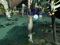 ꡼ No.017 | MONSTER OF THE DEEP: FINAL FANTASY XVץץ쥤ݡȡ츫ΤؤΤϤʤΤ