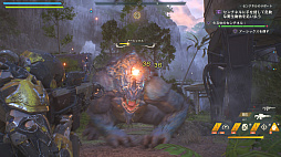 ꡼ No.028 | ΤȥϥγڤͤޤäAnthemץץå󡣥ѥɥġȥ٥ɤǶͳӲ