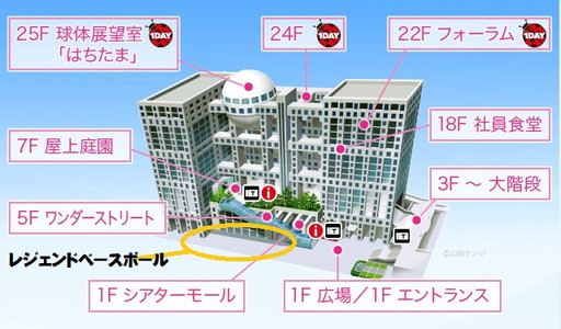 ꡼ No.008 | Υޥͷݿͤˤ֥쥸ɥԥå/T-Хåƥ󥰡פѤ١ܡ륹뤬ŷ