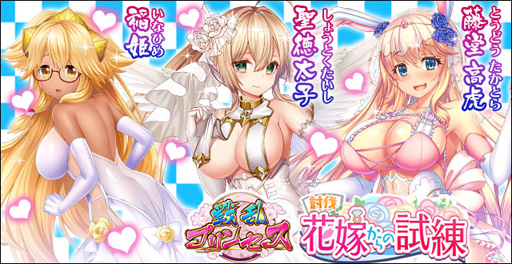 ���������꡼ No.003�Υ���ͥ������ / ������ץ�󥻥��ץ�꡼��2000�����饭���ڡ��󤬳��š����գҳ���11Ϣ�����㤬����̵��