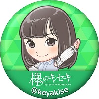 画像ギャラリー No.002のサムネイル画像 / 「欅のキセキ」，Twitterのリツイートキャンペーンを開催