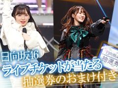 ��ݰ�Υ������ס����ָ����������46�饤�֥����å����������դ��Ƥ��뿷������򳫺�