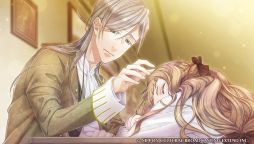 ���������꡼ No.029�Υ���ͥ������ / �����ԻԤ�����ˤ����֥ϥ��ꥲ�󥷥奿�åȤβΡפΥ���ץ�å������Ϥ���ʣ���ʲ������5�ͤ���ǯ�Ȥ�����������������ADV