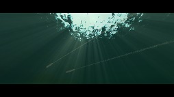 ꡼ No.002 | δ1000ǰڡ󳫺ŤȿǼΥåץǡȤ»