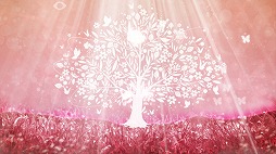 ꡼ No.004 | åϥץ˰ĤΥĥ꡼סiOS/AndroidǤۿ