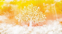 ꡼ No.005 | åϥץ˰ĤΥĥ꡼סiOS/AndroidǤۿ