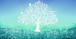 ꡼ No.007 | åϥץ˰ĤΥĥ꡼סiOS/AndroidǤۿ