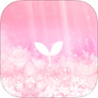 �ѥå�����