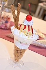 ꡼ No.011 | ֥ץ󥻥ͥȡRe:DiveסߡƽγᤷɲܻݡŹˤϡܥåǤѥͥŸ