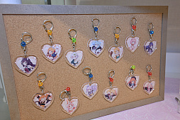 ꡼ No.018 | ֥ץ󥻥ͥȡRe:DiveסߡƽγᤷɲܻݡŹˤϡܥåǤѥͥŸ