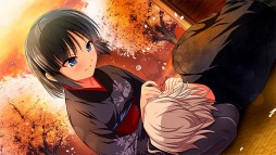 ꡼ No.004 | ֺֺۤ ¡סPS Vitaɲå٥CGɲå饯