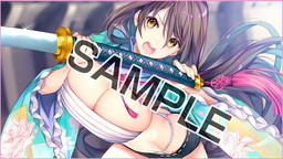 ���������꡼ No.005�Υ���ͥ������ / �����¼��DX�ס�������WonderGOO�ʤ�8����Ź�ι�����ŵ������