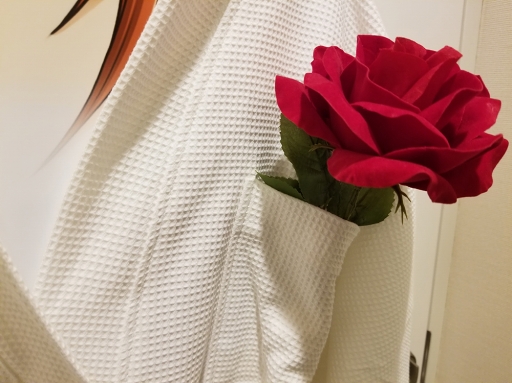 ꡼ No.017 | 롼˶äλųݤ!? ƻΡס߽ոBAY HOTELΥܥ롼եȥݡ