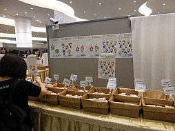 ꡼ No.011 | ͼ뤵νб100ǰǥץ饤Ϣȯֶ⿧Υ ճر6פݡ