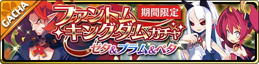 ꡼ No.005Υͥ / ⳦ס֥ǥ5פȥޥ꥿ɤǾо