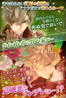 ꡼ No.024 | 巿֥饦ץåȥեYahoo! ץ饹פץHTML5ȥ饦ɥबPCȥޥۤͷ٤