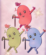 ���������꡼ No.006�Υ���ͥ������ / �֥����ɥ��֥������פ�8��17����ꥵ���ӥ����ϡ�������Ͽ�ǿ��奢�Х������餪��