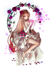 ꡼ No.007 | ֥ɥ֥ס5ȥ꡼ɤ