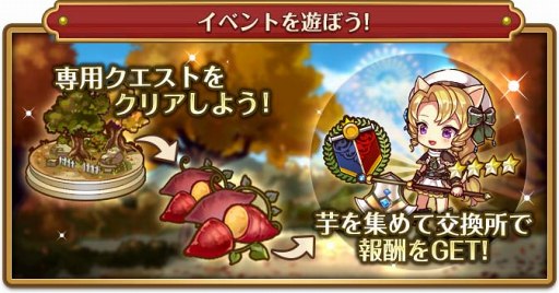 ꡼ No.004 | ֥Хǥꥢﵭסɲå˥å3ͤΥиΨå