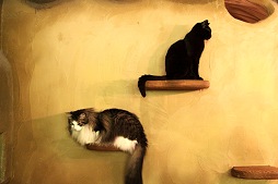 ꡼ No.027Υͥ / ⥫ˤ󤳤PC֥饦˽!?뤷ǭзޤƤ줿ե֤ߤʤ ˤפȯɽݡ