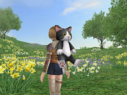 ꡼ No.001 | ҳ OnlineGWڥ륻뤬ȡҳԱ祭ڡ˿ŵɲ