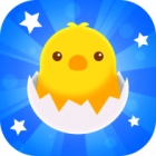 �ѥå�����