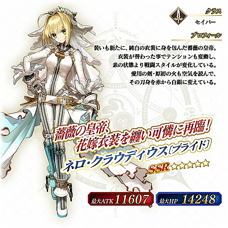 ���������꡼ No.004�Υ���ͥ������ / ��FGO Arcade�ס��ͥ펥���饦�ǥ������̥֥饤�ɡͤ��������������ꥸ�ʥ복ǰ�����������Ǥ��륭���ڡ����