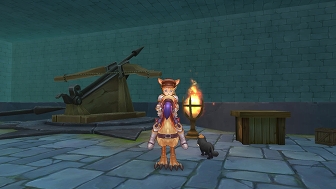 画像ギャラリー No.109のサムネイル画像 / 冒険経験値をごっそり稼ぎたい人は必読! プレイ日記その15:「ラグマス」の秘密の撮影スポット“隠し名所”をコンプリートしよう