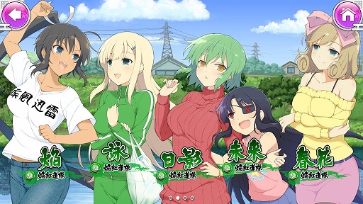 ꡼ No.005 | ֥Υӥޥ 𥫥 NEW LINKץץ쥤ݡȤǺܡ𥫥饷꡼Υ饯ॹڤо졪