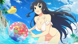 ���������꡼ No.008�Υ���ͥ������ / �֥��Υӥޥ����� ���𥫥��� NEW LINK�פ˿����ʥ��ΥӾ����־Գ��פ�����