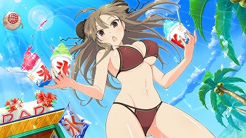 ���������꡼ No.012�Υ���ͥ������ / �֥��Υӥޥ����� ���𥫥��� NEW LINK�ס�������������ڻ�����ɤ��о�