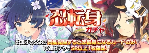 ���������꡼ No.001�Υ���ͥ������ / �֥��Υӥޥ����� ���𥫥��� NEW LINK�פˡ���ץ�������Ρ�����ס��ѡפΥ����ɤ�������Ǧž�ȥ������о�