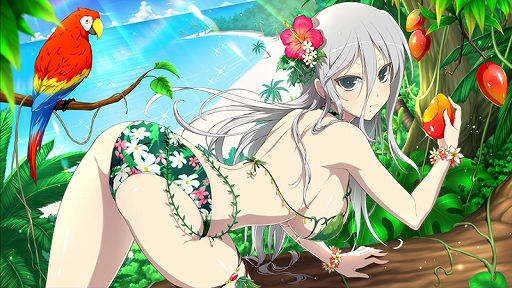 ���������꡼ No.013�Υ���ͥ������ / �֥��Υӥޥ����� ���𥫥���ס����ΥӾ���ã�������ʿ���Ѥ��о졣5�ͤ����֤��Ǥ���֥����ॸ����ޡ׵�ǽ�μ�����