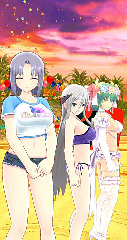 ���������꡼ No.028�Υ���ͥ������ / �֥��Υӥޥ����� ���𥫥���ס����ΥӾ���ã�������ʿ���Ѥ��о졣5�ͤ����֤��Ǥ���֥����ॸ����ޡ׵�ǽ�μ�����