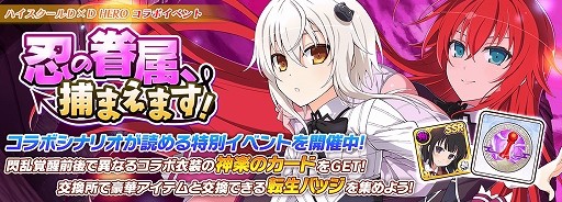 ꡼ No.013 | ֥Υޥפȥ˥ȥϥDD HEROɤȤΥ2Ƥ