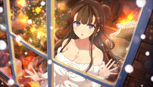 ꡼ No.006 | ֥Υޥ5ǯXmasڡ򳫺šƾθꥫɤо