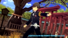 ꡼ No.013 | ڥ륽ʤΥɥP3DסP5Dסŷ ȱ¼ դΥ饯Ҳࡼӡ5ԻԤǹԤŹƬθξܺ٤