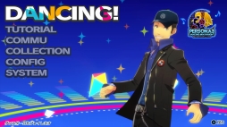 ꡼ No.017 | ʤ빭򸫤ȥڥ륽ʥɡɤǥ󥹤ڤ롣ȯΥɥP3DסP5DפҲ