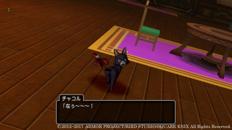 ꡼ No.017Υͥ / ֥ɥ饴󥯥X5000ǯιϩ ڤʤζء饤׿ʽв񤤤Ԥ֥ơͲפξ󤬸