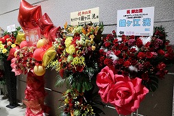 ꡼ No.002Υͥ / ֥ɥ饴󥯥XפȡֿϵTLPTפΥͦɱ鯤ͧפ档ͦɱ륷ΤȤ˵ޤã˿ϵμ