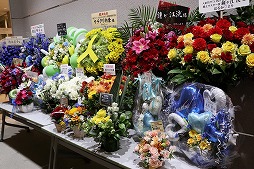 ꡼ No.003Υͥ / ֥ɥ饴󥯥XפȡֿϵTLPTפΥͦɱ鯤ͧפ档ͦɱ륷ΤȤ˵ޤã˿ϵμ