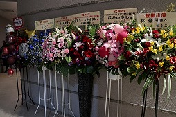 ꡼ No.004Υͥ / ֥ɥ饴󥯥XפȡֿϵTLPTפΥͦɱ鯤ͧפ档ͦɱ륷ΤȤ˵ޤã˿ϵμ