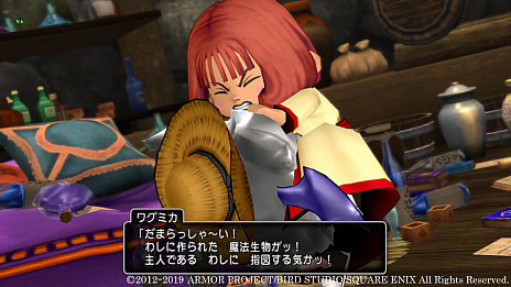 ドラゴンクエストx オンライン いよいよ最終章に突入する バージョン4 の物語 その一部が明らかに