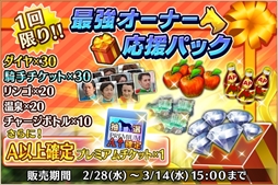 ꡼ No.003 | ֥ӡȡ꡼סSSץߥﲴӽΨ2ܤˤʤȿϤκŵɤ