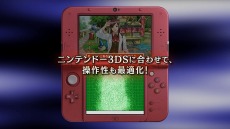 ꡼ No.006 | 3DSǡֵžȽ4ס쥯ѥåξܺپѸǤǧǤץ⡼