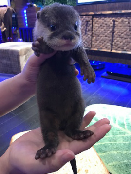 ꡼ No.003Υͥ / I LOVE Сס復Ȥɤ1228о