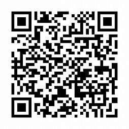 ꡼ No.007Υͥ / ֵưΥ ¨פλϿԿ20ˡǥ5Ҥˤйư